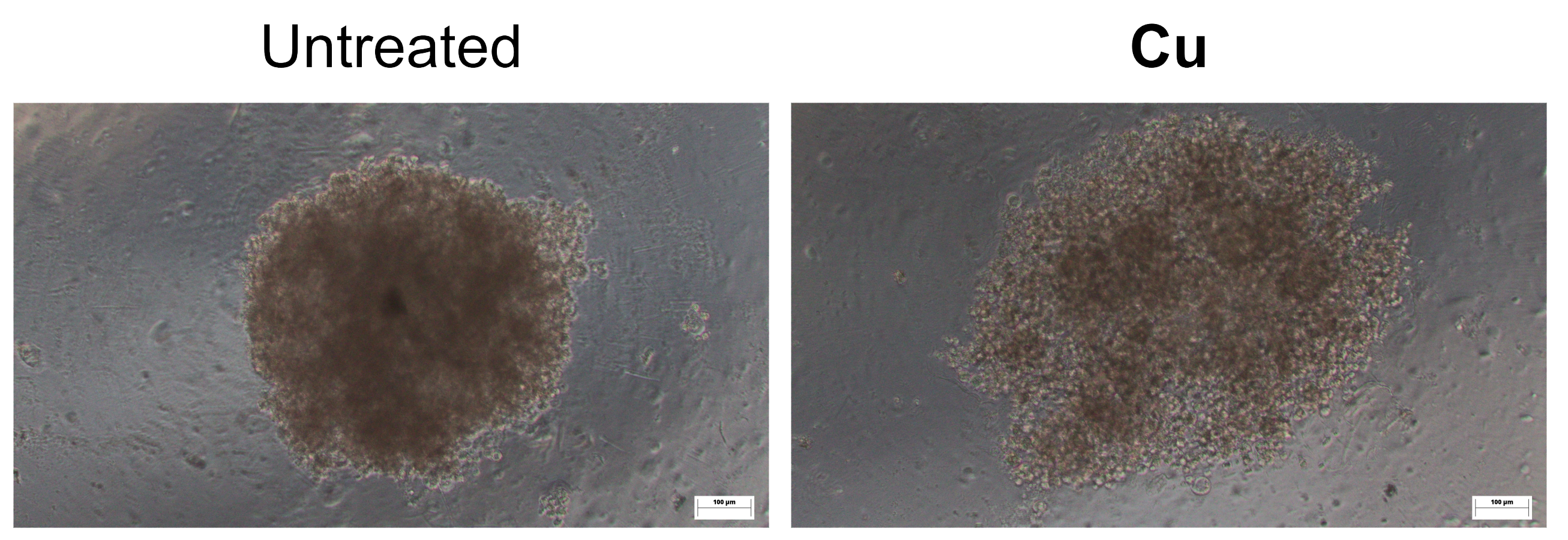 Figure3
